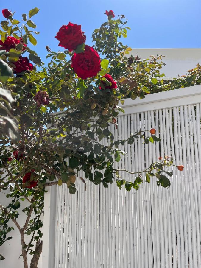 Aleria Central Apartments Naxos City Екстериор снимка